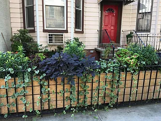 Rented by Amit Aulakh LREB