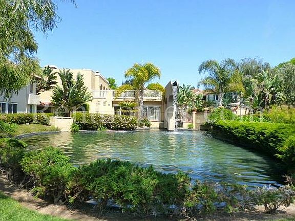 Pool / pond area