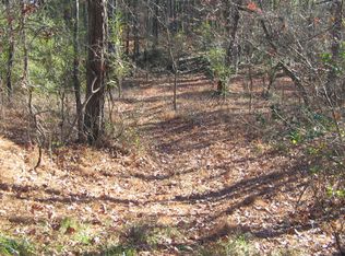 1 Soap Creek Rd, Ball Ground, GA 30107