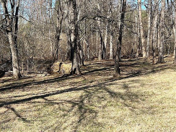 5th image of 84 Grouse Ln
