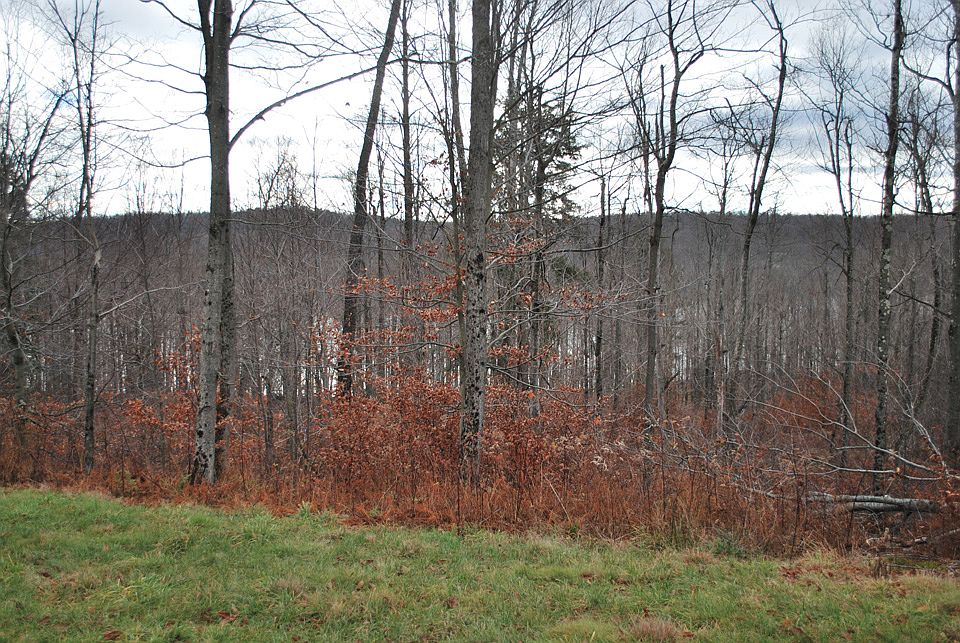 1st image of The Woods At Duck Hbr Lot 68