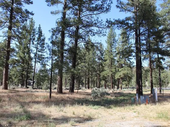 Tunnel Spgs Lot 38, Mountain Center, CA 92561