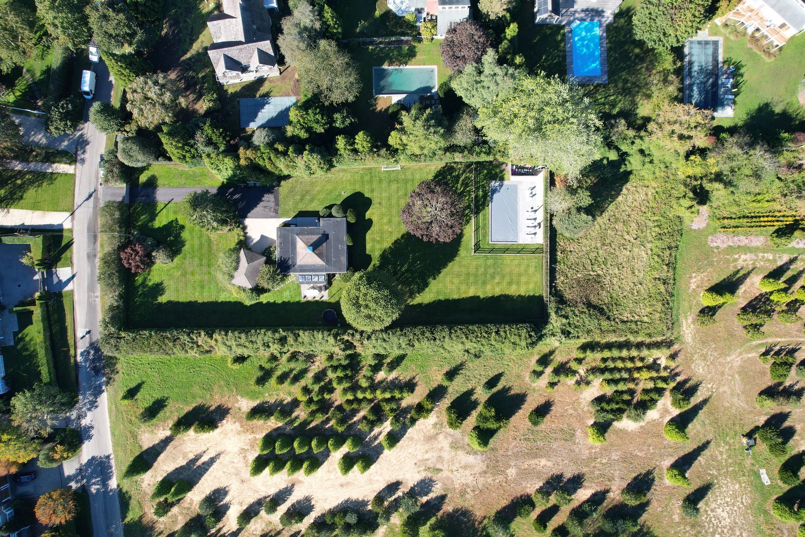  surounded by tree farm
