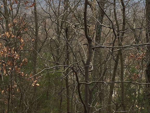 2nd image of 2708 Granger Road