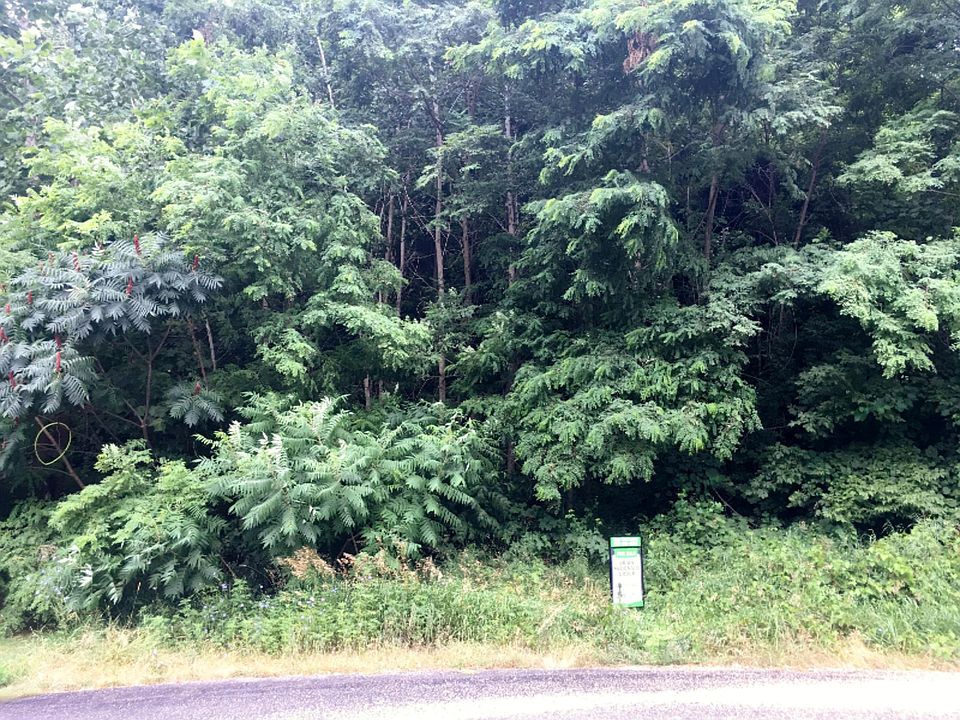 2nd image of 176 Summit Dr #14