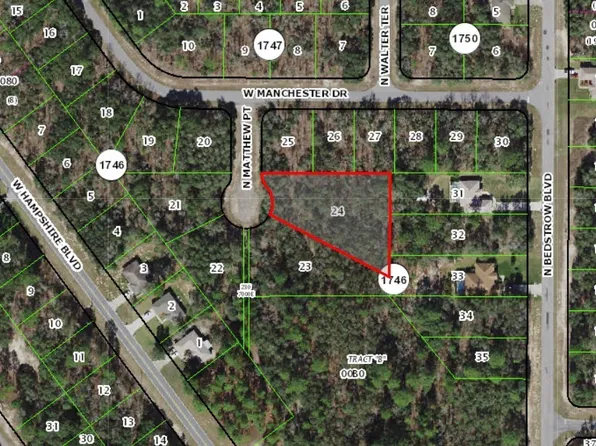 6039 N Matthew Point, Citrus Springs, FL 34434