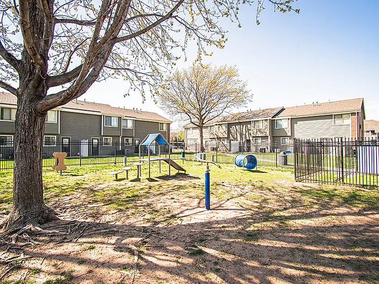 A Space for Pets & Play