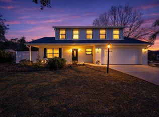 1197 Southfork Ct, Port Orange, FL 32129