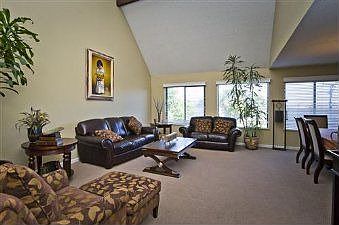 Living room :: 541 Avalon Dr