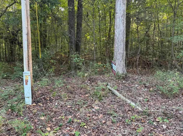 0 Southern Sportsman Loop #0, Livingston, AL 35470