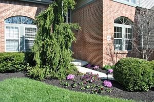 3rd image of 6116 Wynford Dr