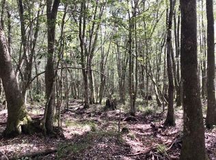 0 Landfield Rd, Chatom, AL 36518