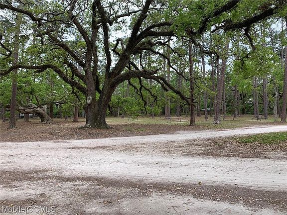 4th image of 704 Bienville Blvd