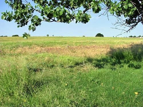 4th image of 1425 County Road 196