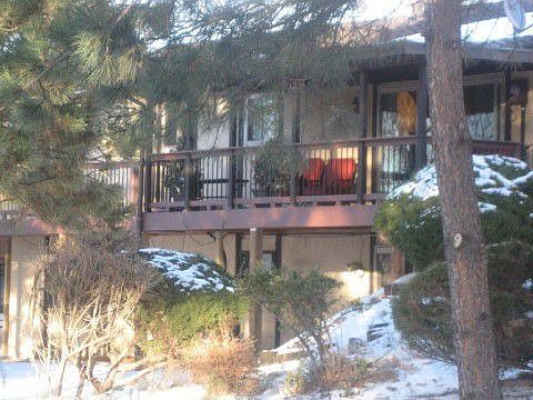 You deserve this backyard.