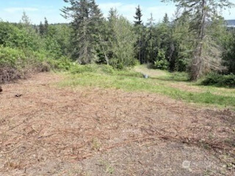 5th image of 495 Louella Road