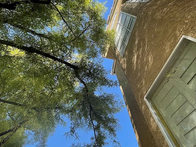 8013 Coral Point Ave — Photo 58