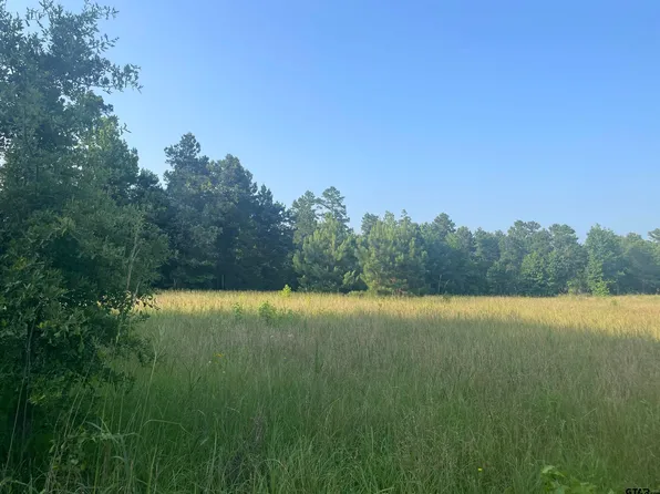 0 S County Road 3191, Mount Enterprise, TX 75681