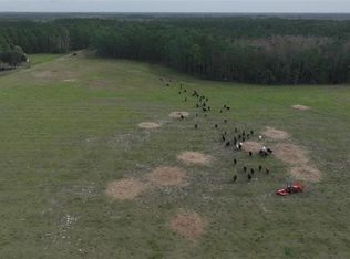 Berry Groves Rd, Clermont, FL 34714