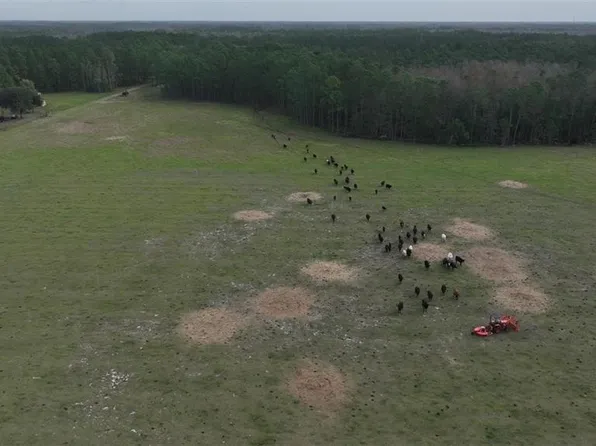 Berry Groves Rd, Clermont, FL 34714