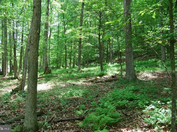 13 Pleasant Dale Ln, Great Cacapon, WV 25422