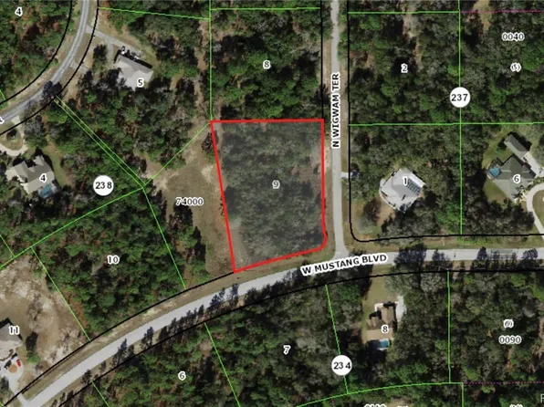 4324 N Wigwam Ter, Beverly Hills, FL 34465