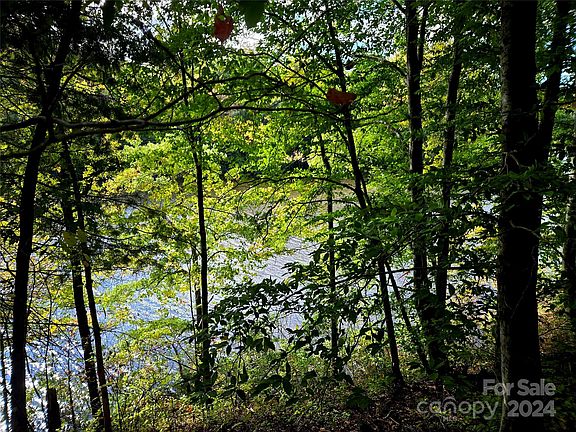 4th image of 0 Sweet Birch Ln