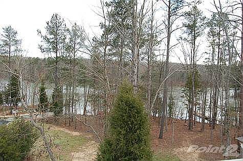 View of lake