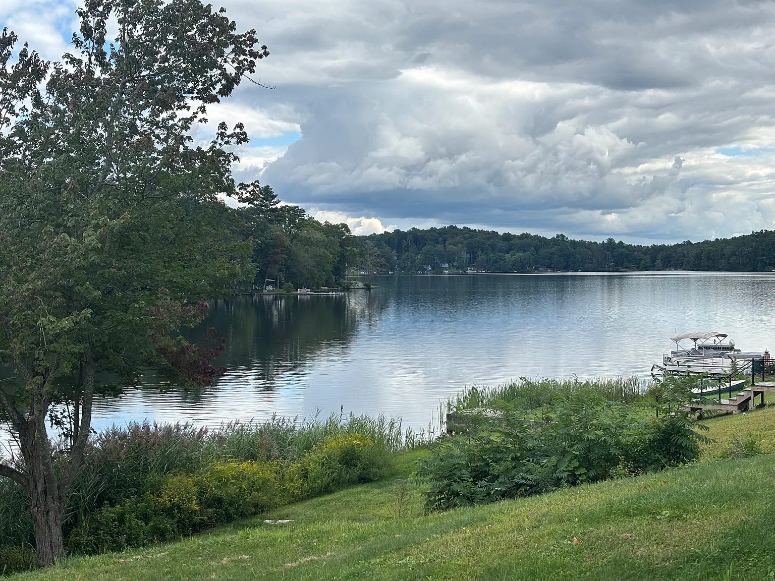 1 bed, 1600 sqft, $2,200 — Photo 4