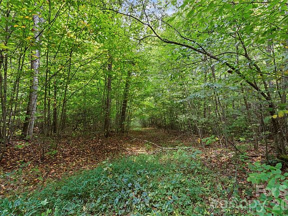 5th image of Pond Rd
