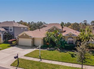 12922 Castlemaine Dr, Tampa, FL 33626