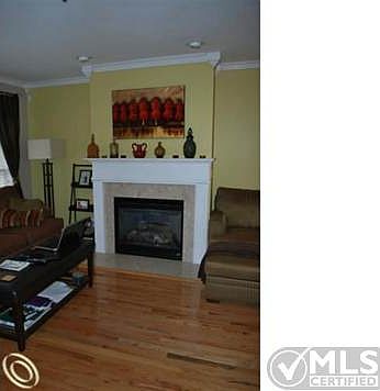 Gas Fireplace.JPG