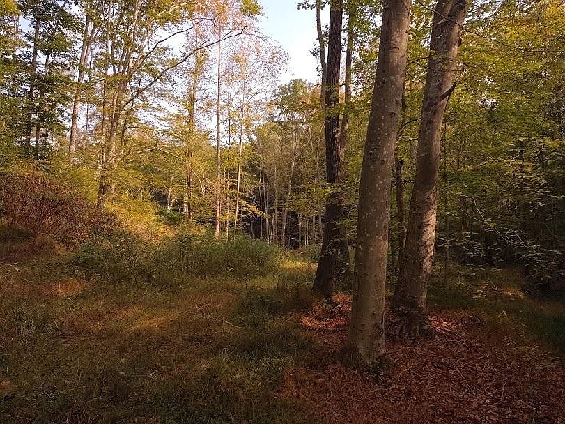 1st image of 89 Fallen Rock Hollow Br