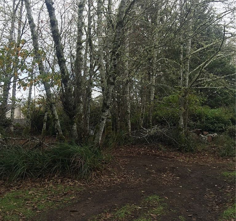 2nd image of 378 Duck Lake Dr NE