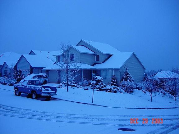 Rare Snow 12/29/2003