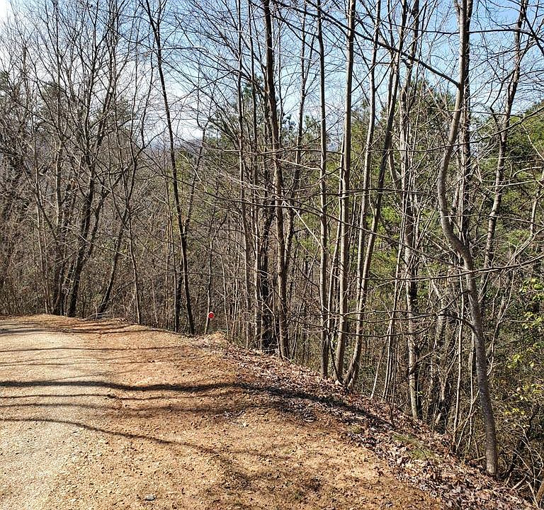 2nd image of 0 Roy Cook Rd