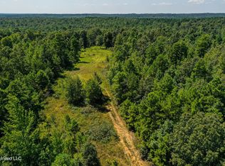 2295 Chapman Rd, Falkner, MS 38629