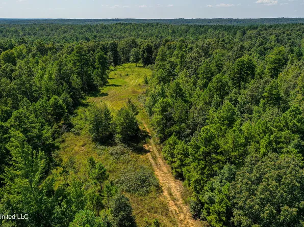 2295 Chapman Rd, Falkner, MS 38629