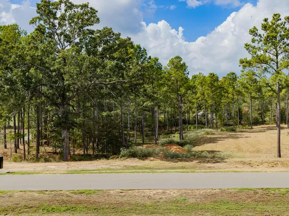 102 Eagle Creek Dr, Diana, TX 75640