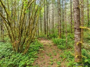 0 Lincoln Creek Rd, Rochester, WA 98579