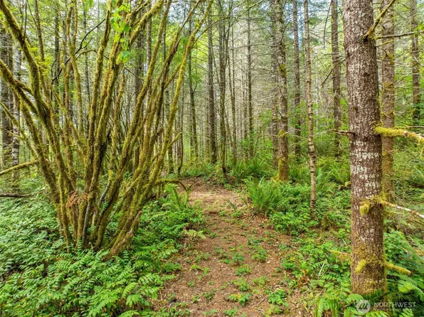 0 Lincoln Creek Road, Rochester, WA 98579