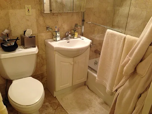 Rented by GPS Realty NYC | media 34