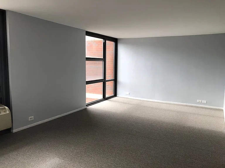 3041 S Michigan Ave #308 — Photo 6