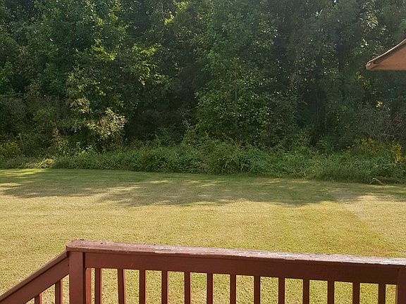 View of Back Yard