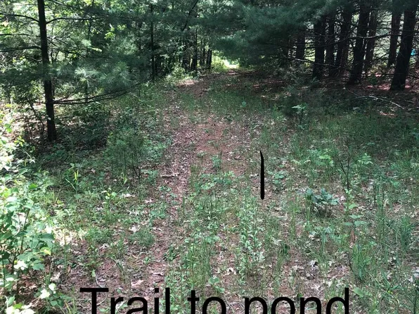 County Rd E, Neshkoro, WI 54960