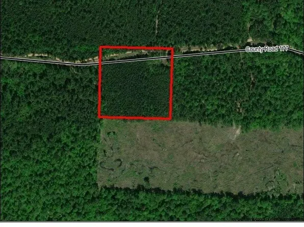 305 Ouachita Rd, Chidester, AR 71726