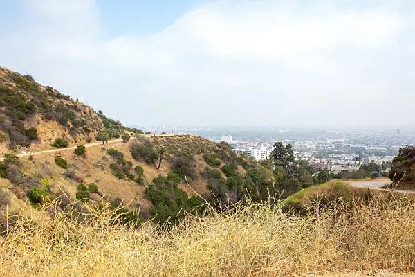 SMB Hollywood — Photo 37