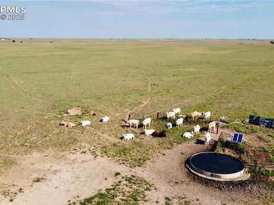 Shear Rd, Rush, CO, 80833