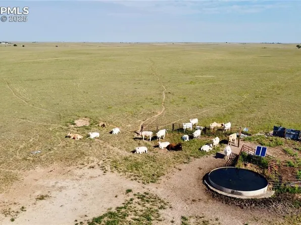 Shear Rd, Rush, CO 80833