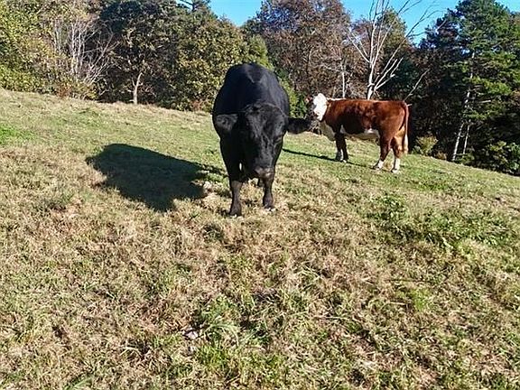 5th image of 0 Porter Springs Rd